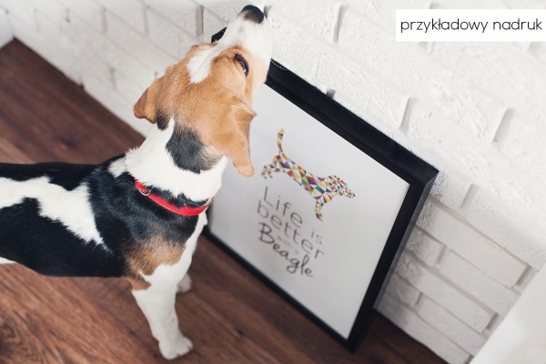 plakat-od-pupilu-na-zywo