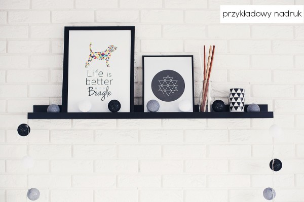 plakat-z-psem-od-pupilu