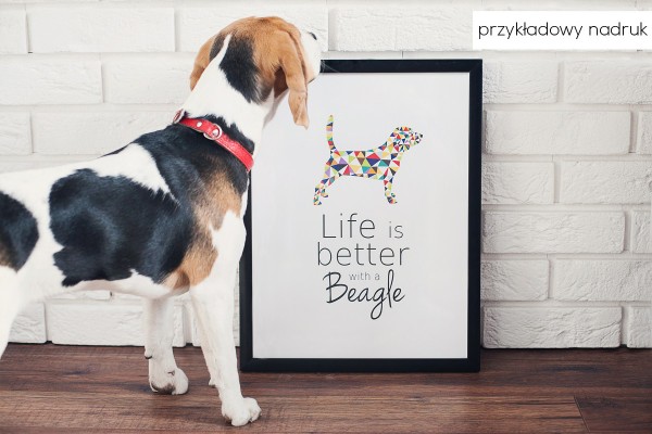 plakaty-od-pupilu-real-foto