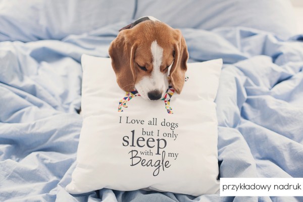 poduszka-pupilu-z-psem-04