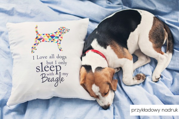 poduszka-pupilu-z-psem-02