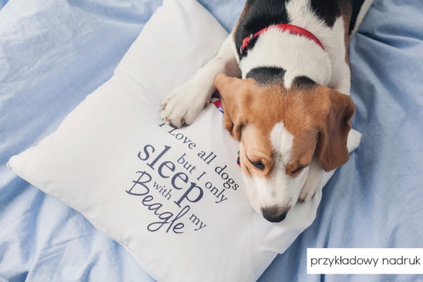 poduszka-pupilu-z-psem-03