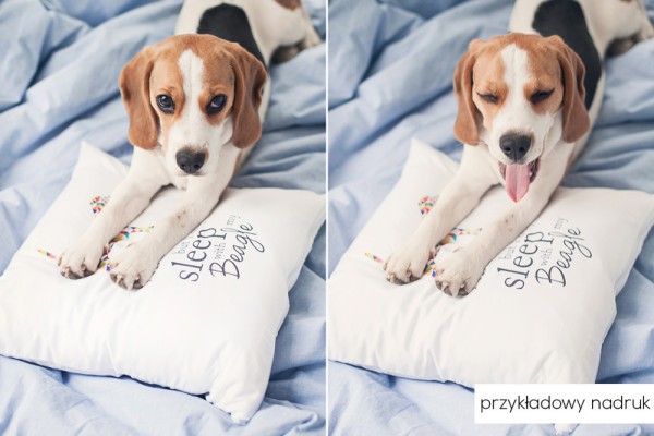 poduszka-pupilu-z-psem-01