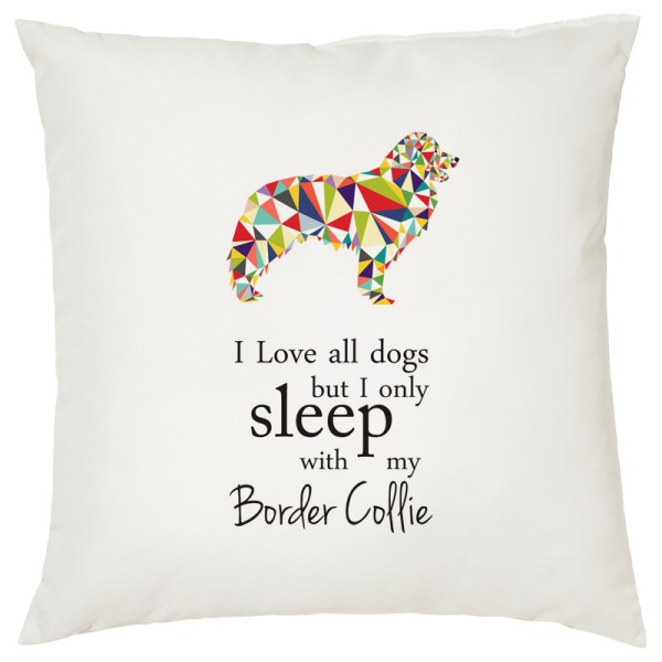poduszka_border-collie