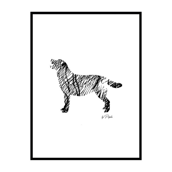 plakat-labrador-szkic