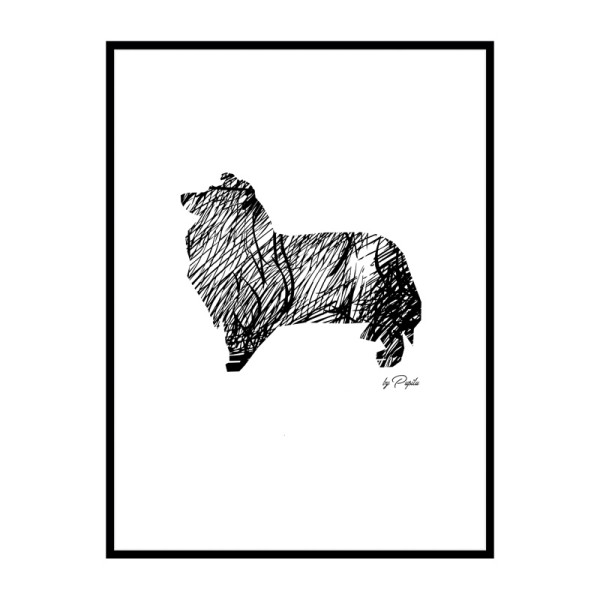 plakat-sheltie-szkic