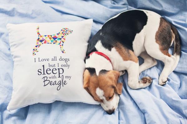 pupilu-poduszka-beagle-02-small