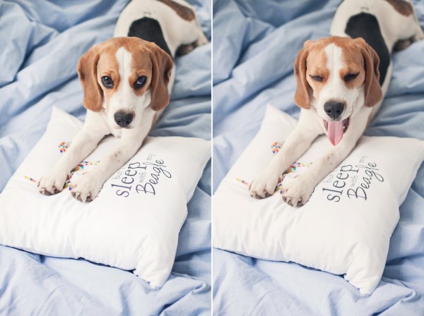 pupilu-poduszka-beagle-01-small