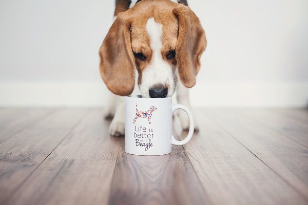 pupilu-kubek-beagle-01-small