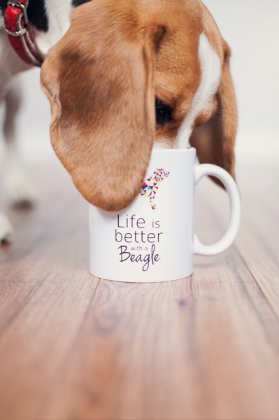 pupilu-kubek-beagle-03-small