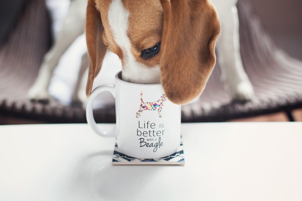 pupilu-kubek-beagle-02-small