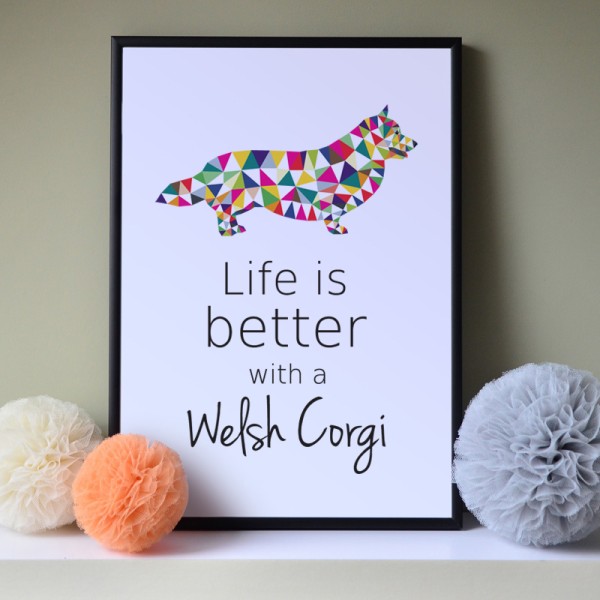 plakat-z-welsh-corgi