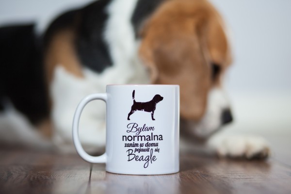 kubek-z-beagle-bylam-normalna-04