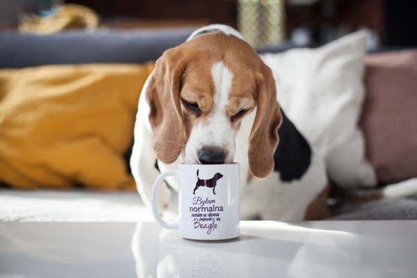 kubek-z-beagle-bylam-normalna-02