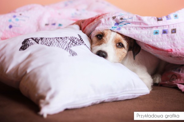 poszewka-poduszka-z-psem-od-pupilu-art