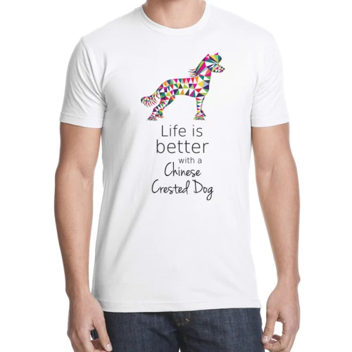 Koszulka męska T-shirt Grzywacz Chiński