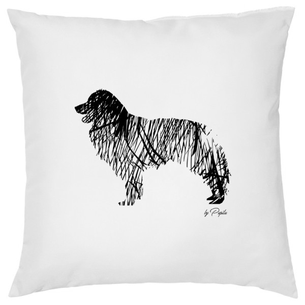 poduszka-z-border-collie