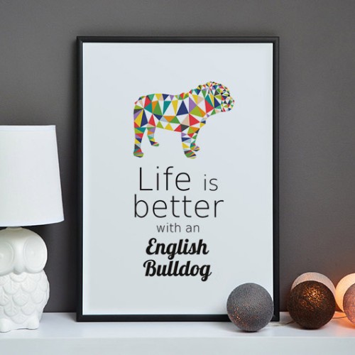 Plakat na ścianę Buldog Angielski Origami do salonu