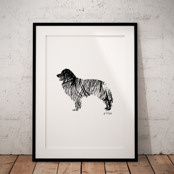 plakat-border-collie