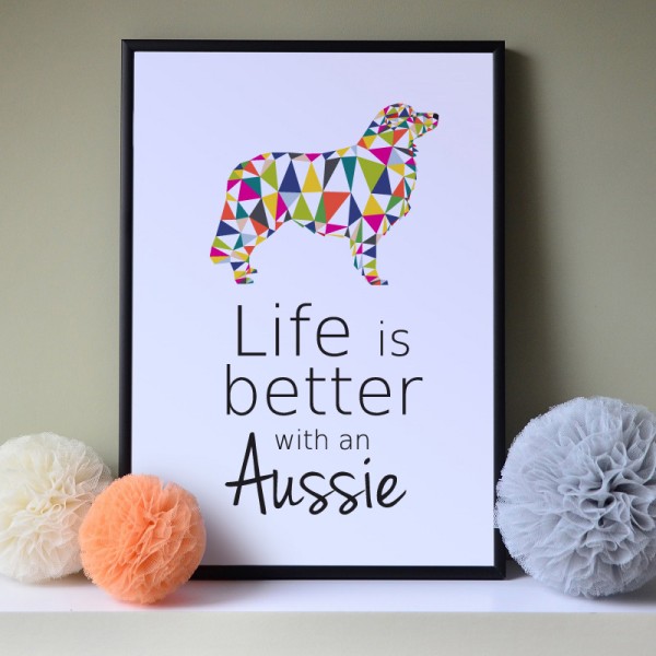 owczarek-australijski-plakat-a2