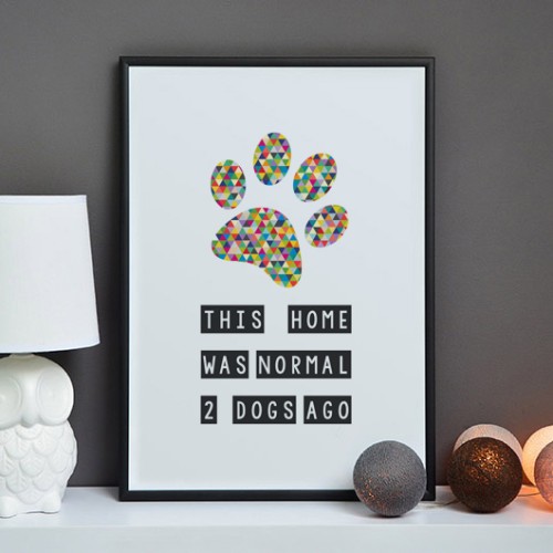 Plakat na ścianę Kilka psów temu Łapa EN do salonu
