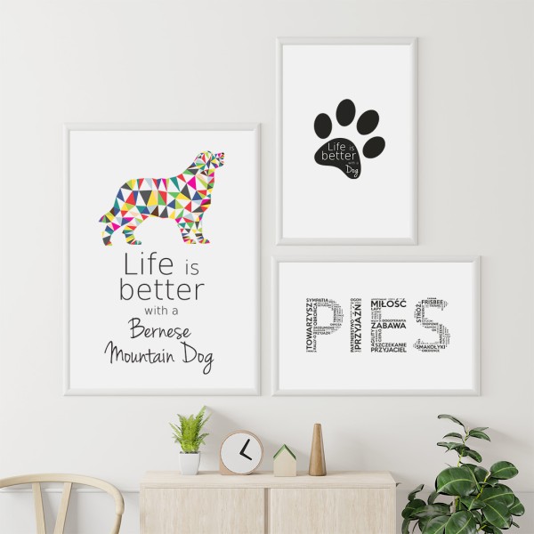 zestaw-plakatow-bernenski-pies-pasterski