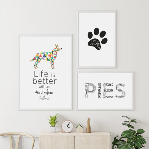 Plakaty na ścianę Australian Kelpie zestaw do salonu