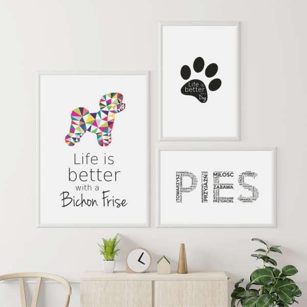 zestaw-plakatow-bichon-frise