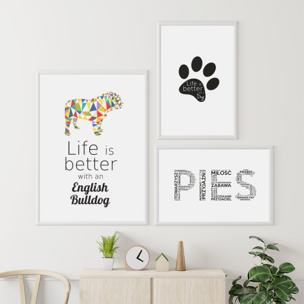 zestaw-plakatow-buldog-angielski