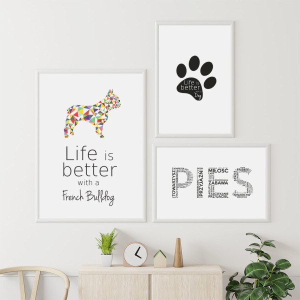 zestaw-plakatow-buldog-francuski