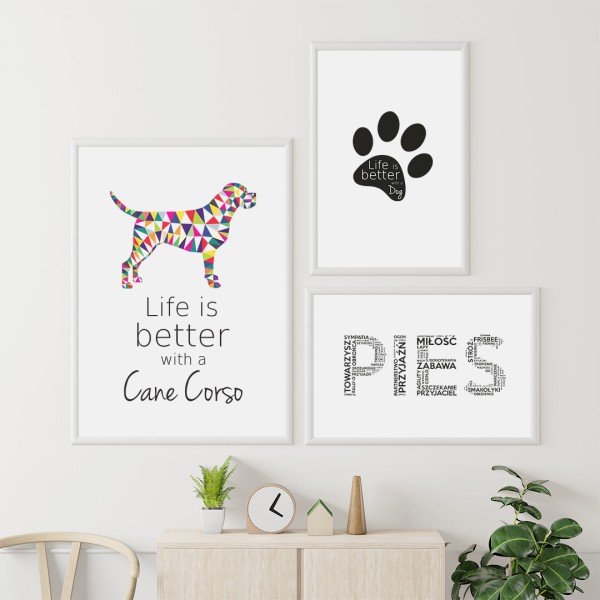 zestaw-plakatow-cane-corso
