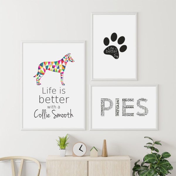 zestaw-plakatow-collie-smooth