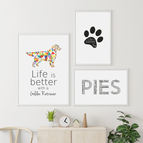 zestaw-plakatow-golden-retriever