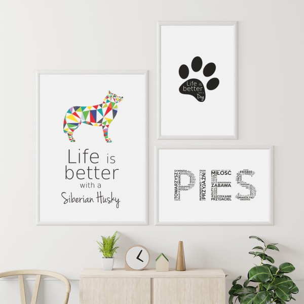 zestaw-plakatow-husky