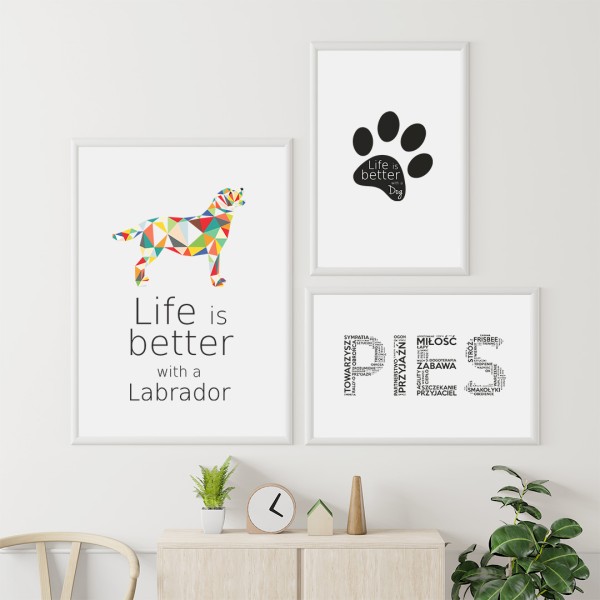 zestaw-plakatow-labrador