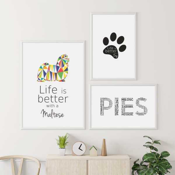 zestaw-plakatow-maltanczyk