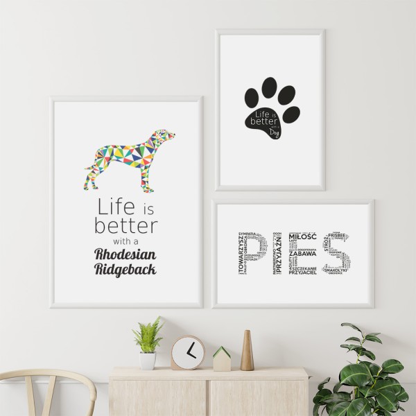 zestaw-plakatow-rhodesian-ridgeback