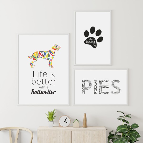 zestaw-plakatow-rottweiler