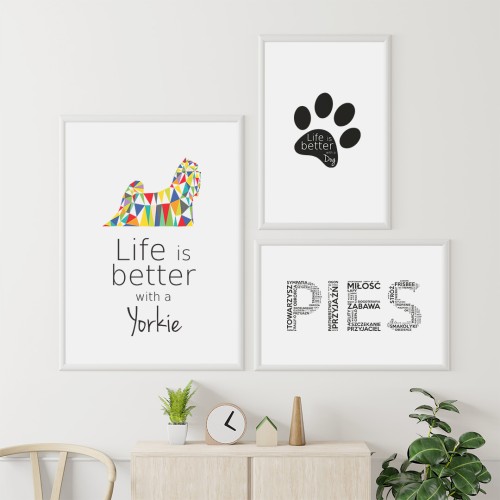 Plakaty na ścianę Yorkshire Terrier zestaw do salonu
