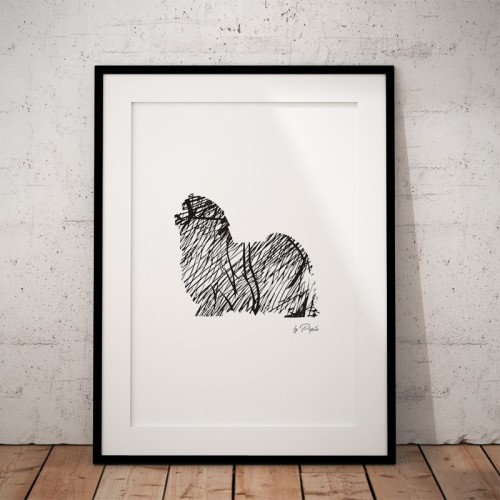 Plakat na ścianę Maltańczyk Art do salonu