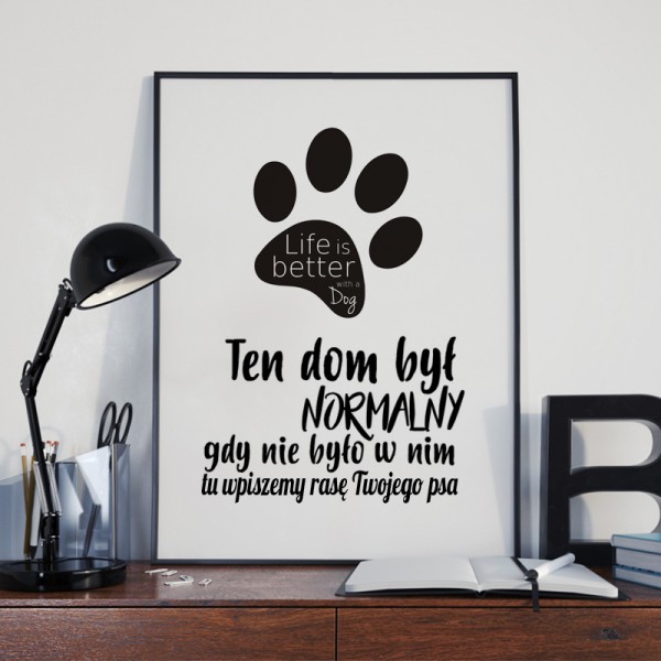 pupilu-ten-dom-byl-normalny-2