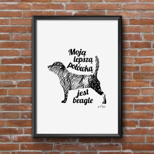 Plakat do salonu Moją lepszą połówką jest Beagle