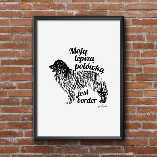 Plakat do salonu Moją lepszą połówką jest Border Collie