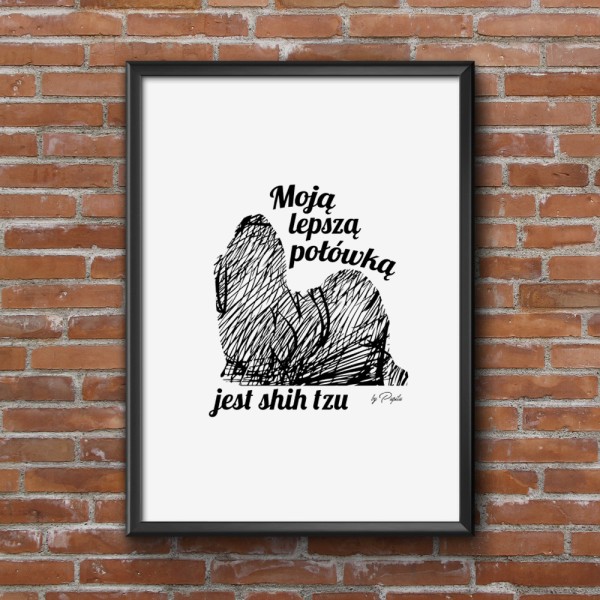 plakat-z-shih-tzu-obraz